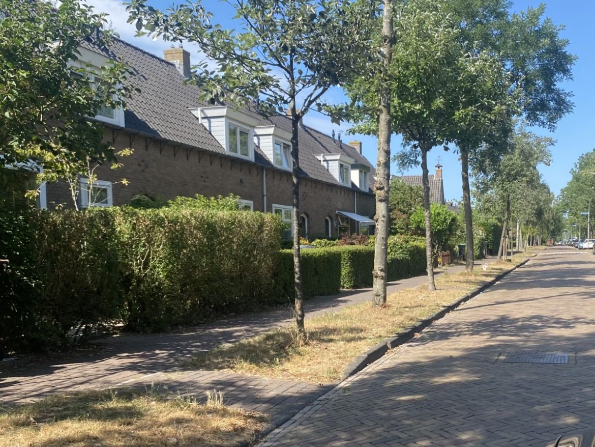 Zaterdag: 1224x bekeken +Top 10 meest gelezen berichten
