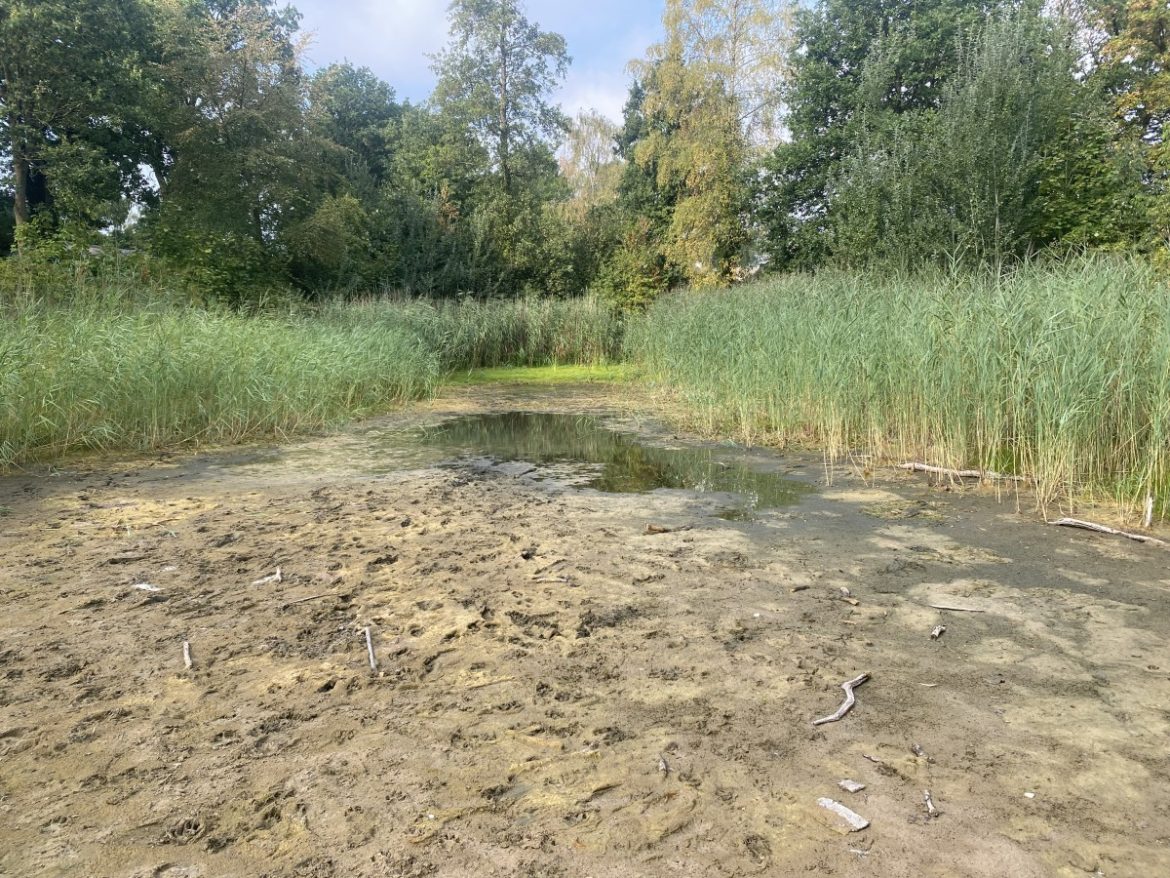 Nog slechts een plasje…