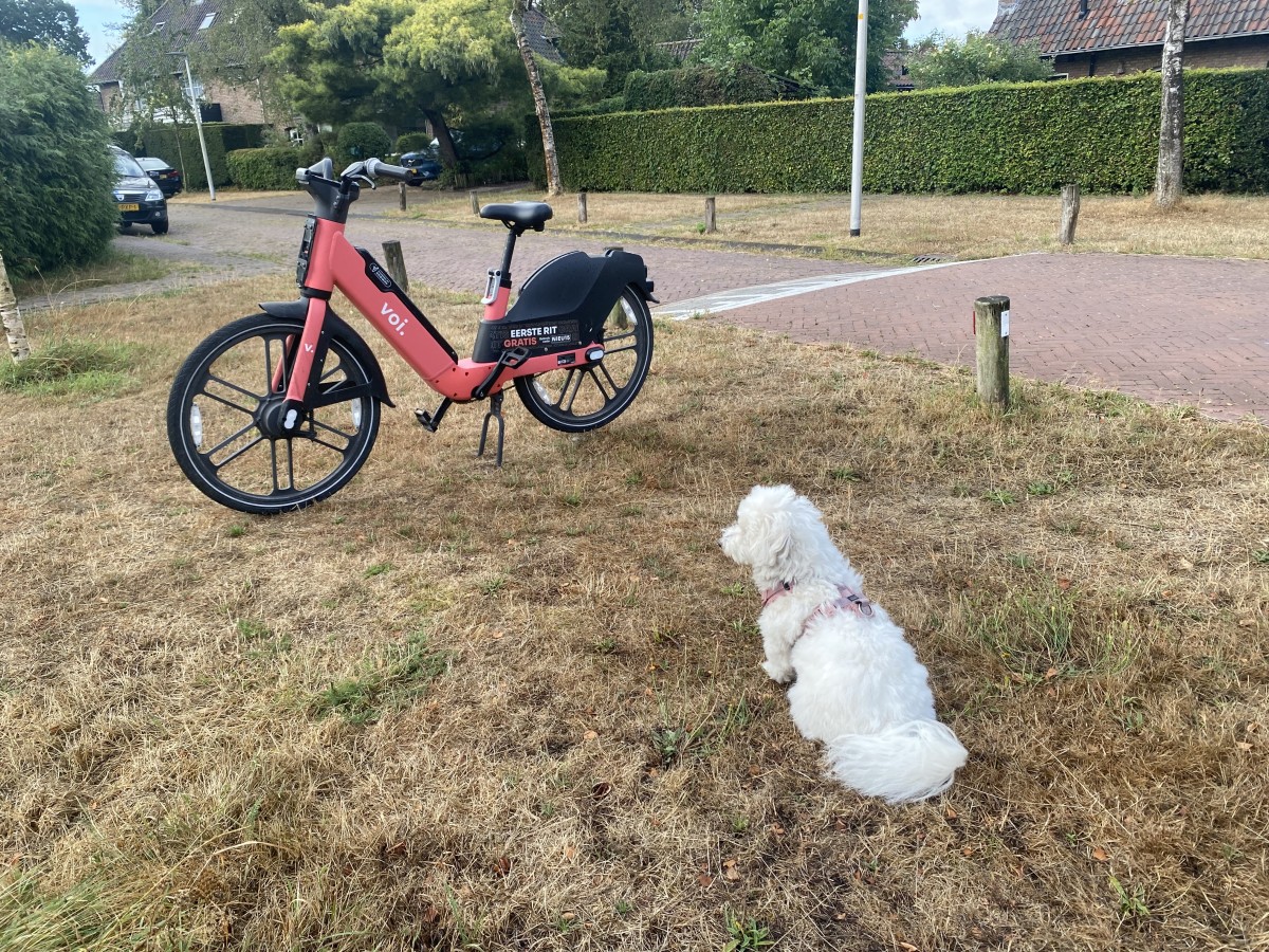 Deelfietsen populair in het Gooi, maar zorgen voor overlast