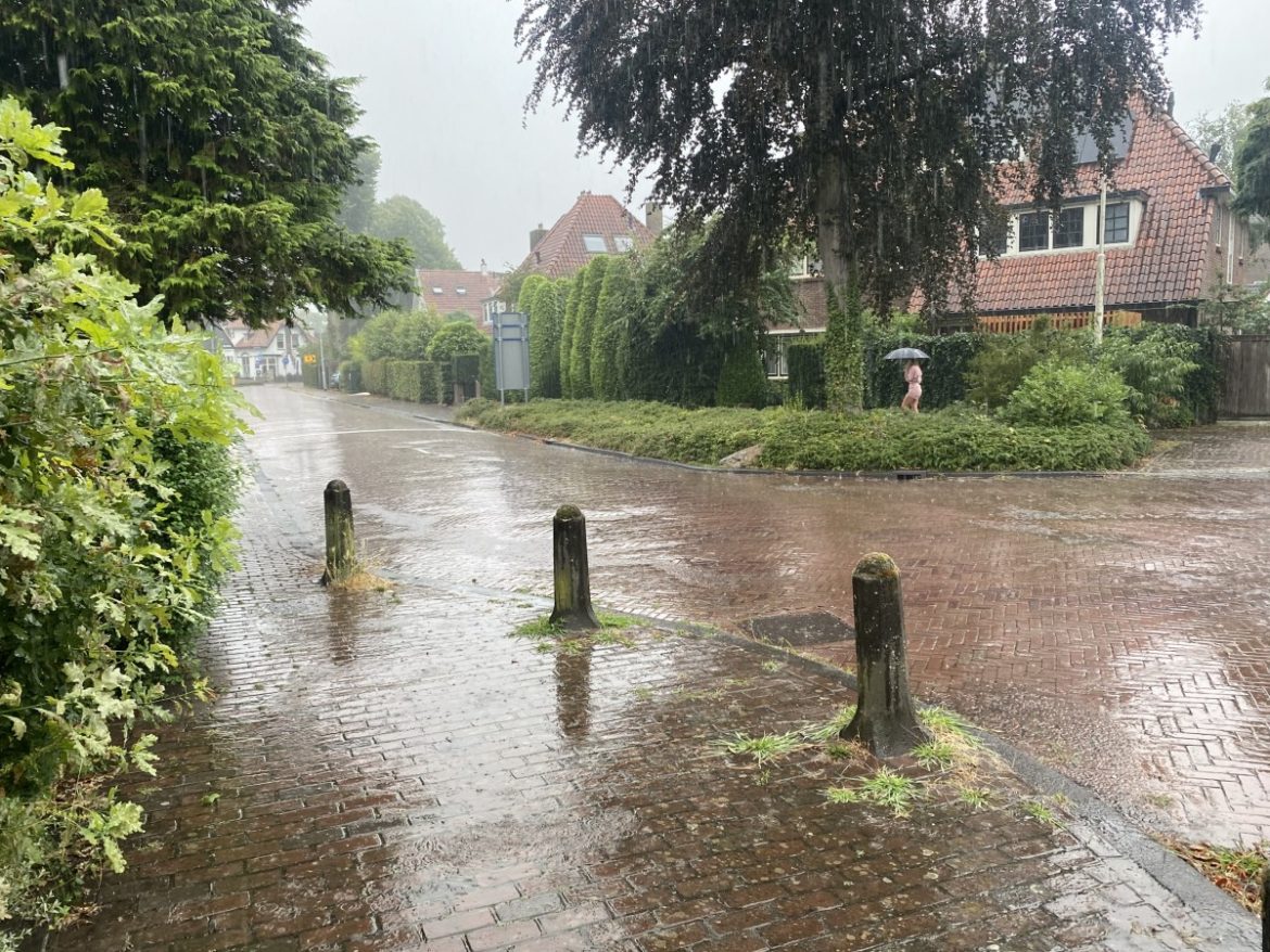 Woensdag: 2823 x bekeken + Top 10 meest gelezen berichten