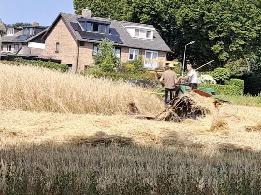 (video) Dorpsgevoel…