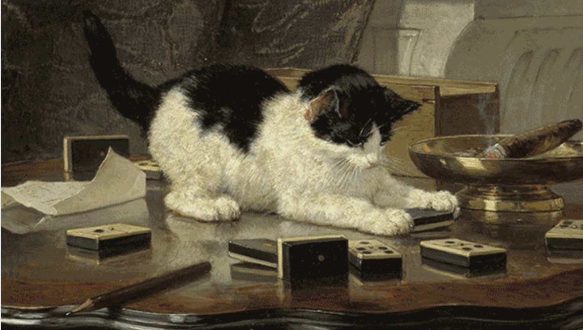 Internationale Katten dag