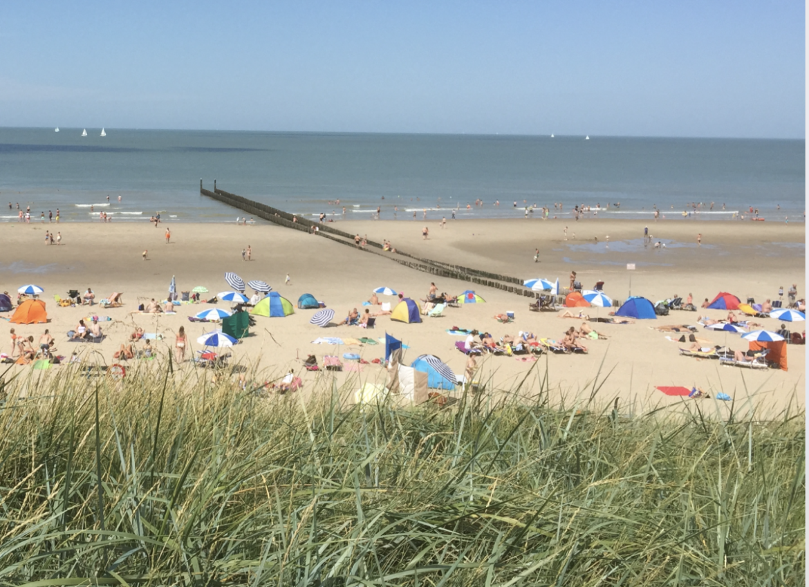 Temperatuur naar 29 graden