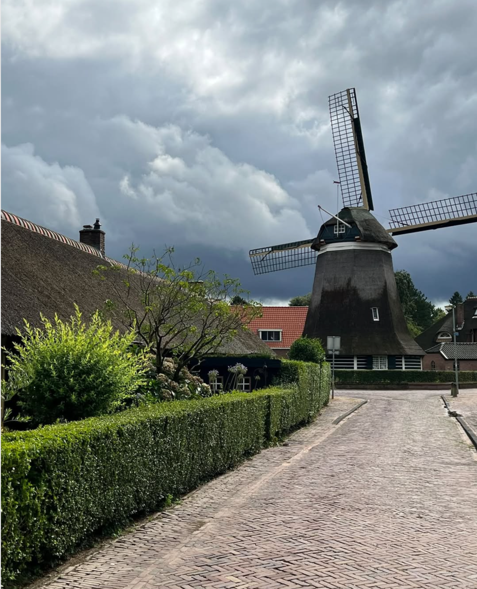 Zondag: 3457 x bekeken +Top 10 meest gelezen berichten