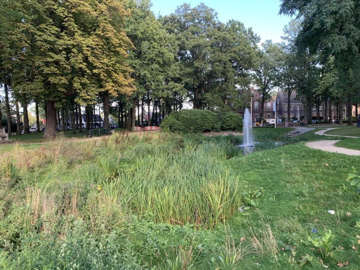 Opmerkzaam…