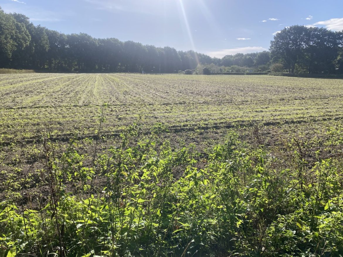Zomerse maandag…tot 29 graden