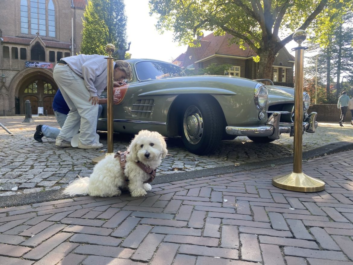 Een uniek Rotary-ritje voor het goede doel!