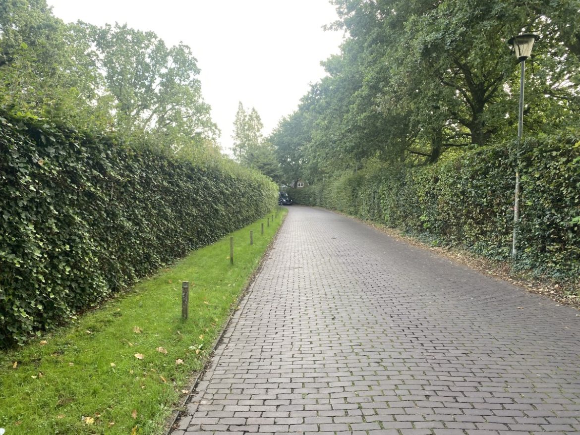 Donderdag 2997 x bekeken + Top 10 meest gelezen berichten