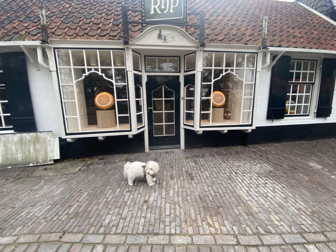 Opening kaashandel ‘Rijp’ op 2 oktober tussen 16.00 uur- 18.00 uur