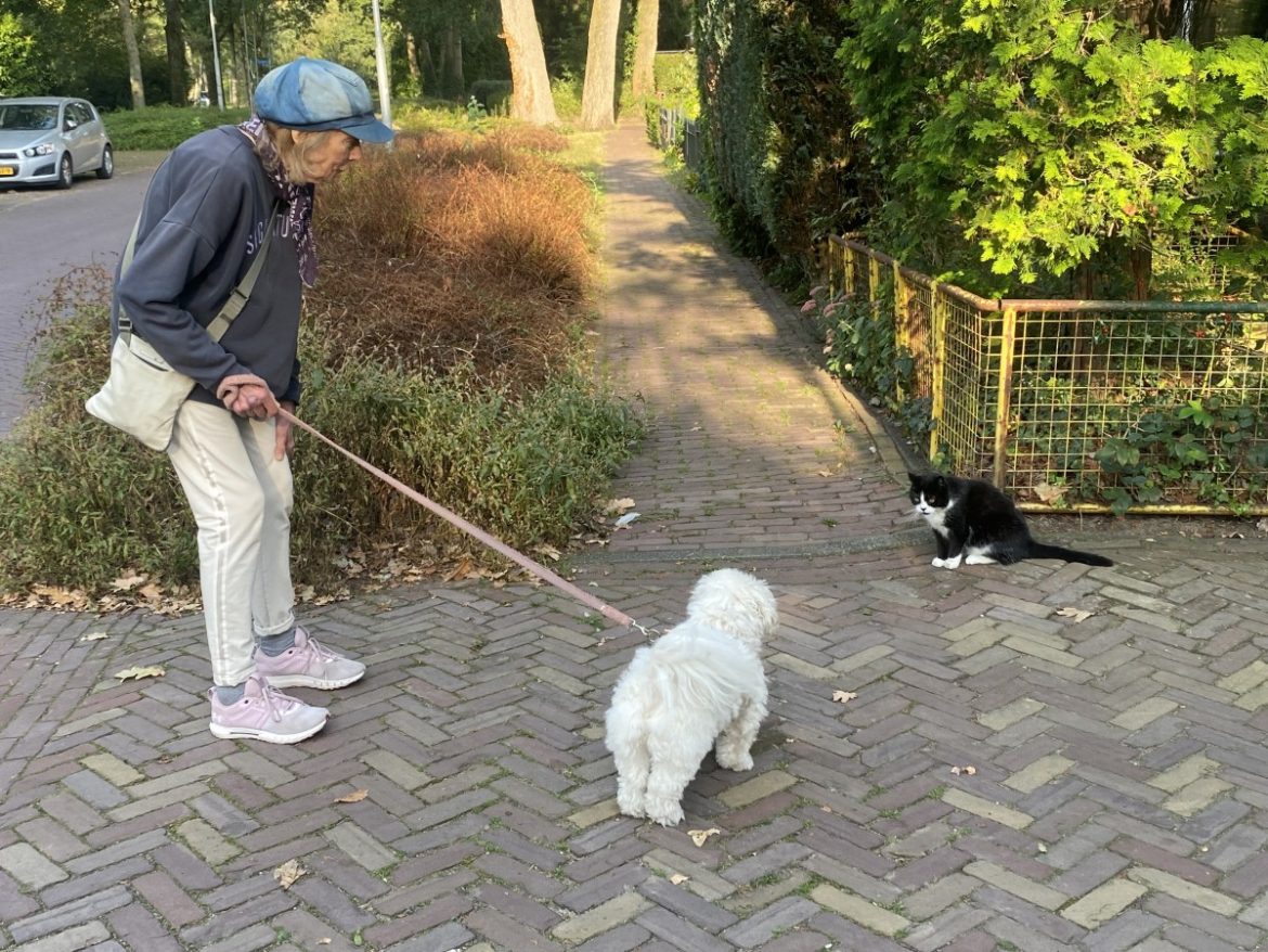 Zondag: 820 x bekeken + Top 10 meest gelezen berichten