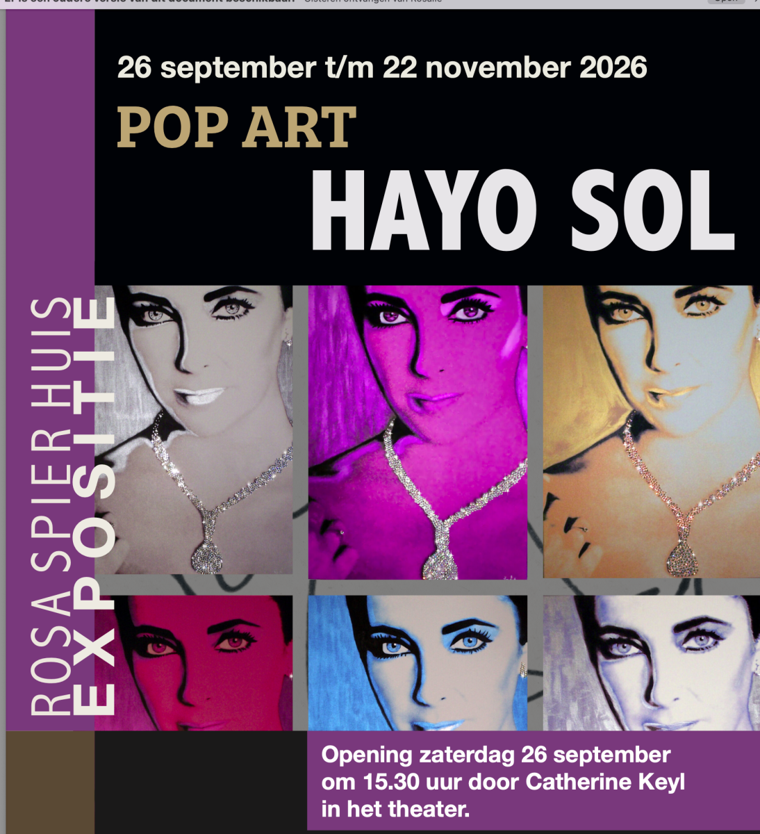Expositie Hayo Sol in Rosa Spier Huis