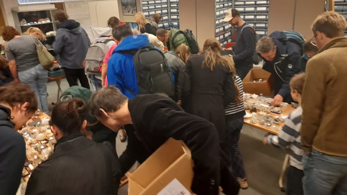Fossielen, mineralen en stenen te koop bij Museum Hofland