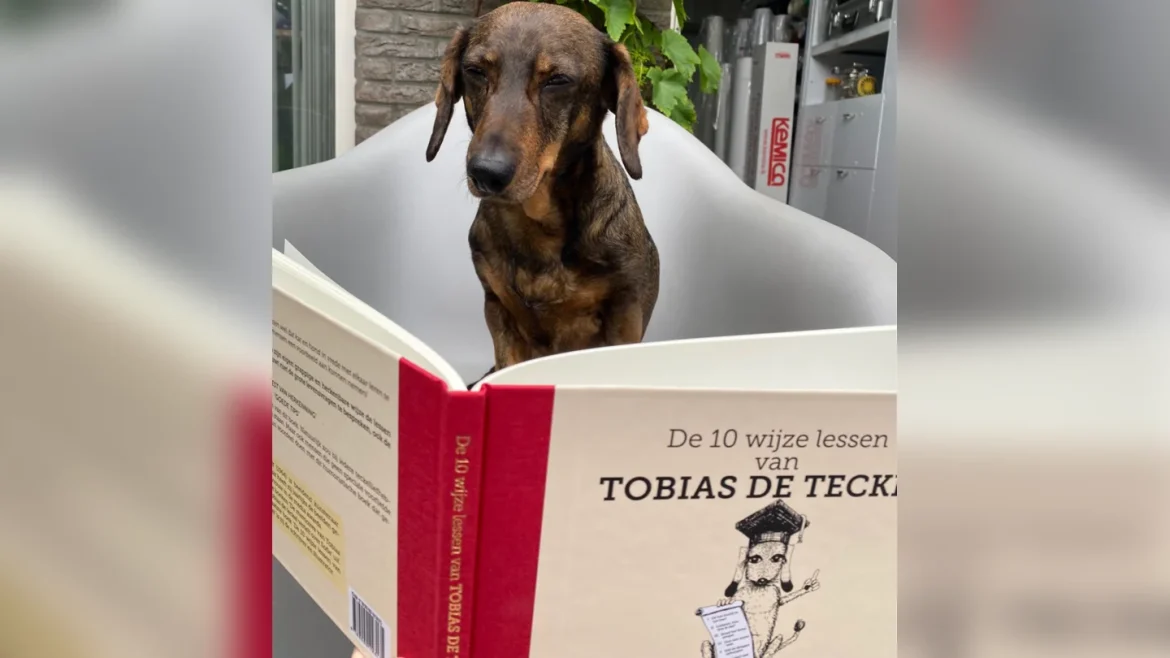 Tobias de teckel is terug: ‘wijze lessen’ voor jong en oud
