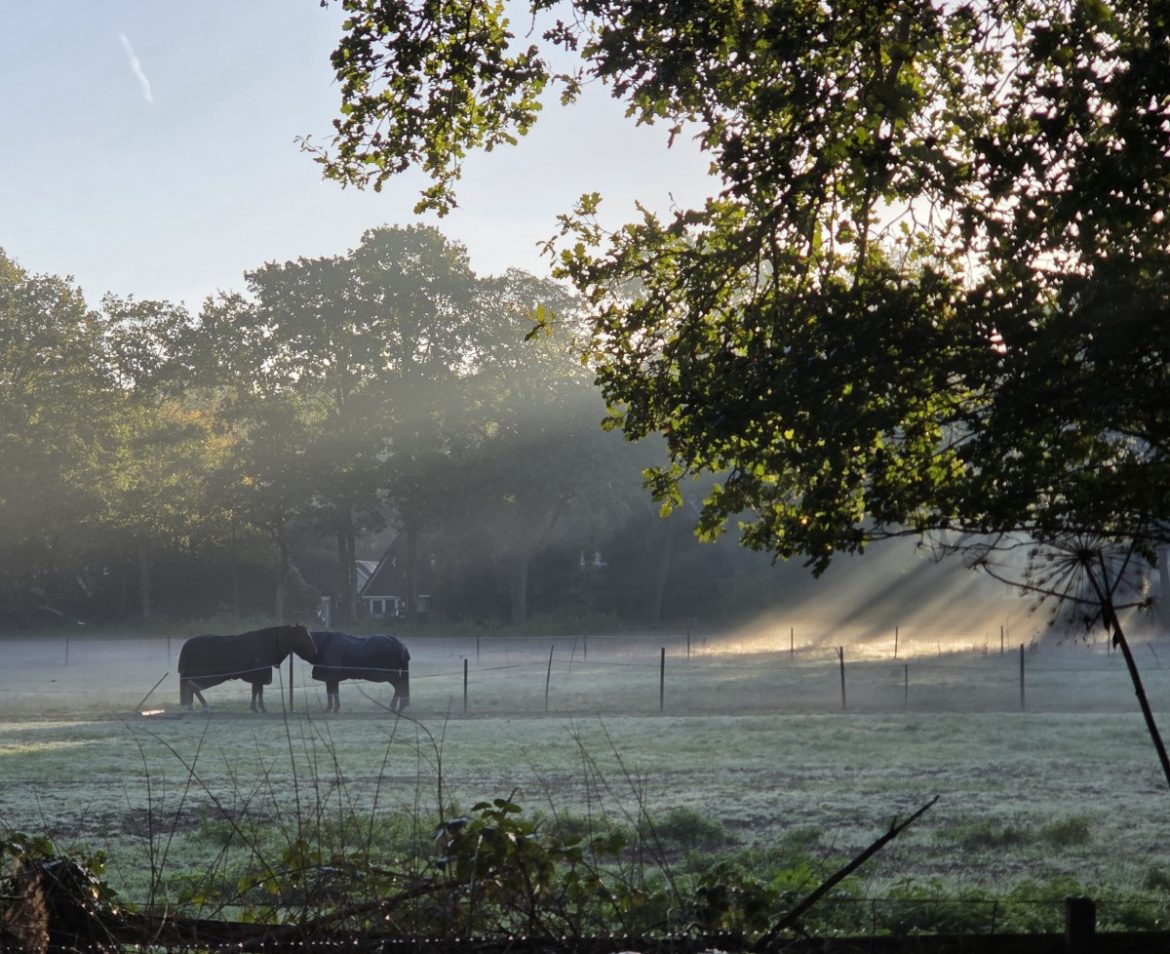 Herfst(1)