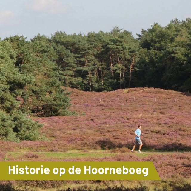 Hoorneboeg