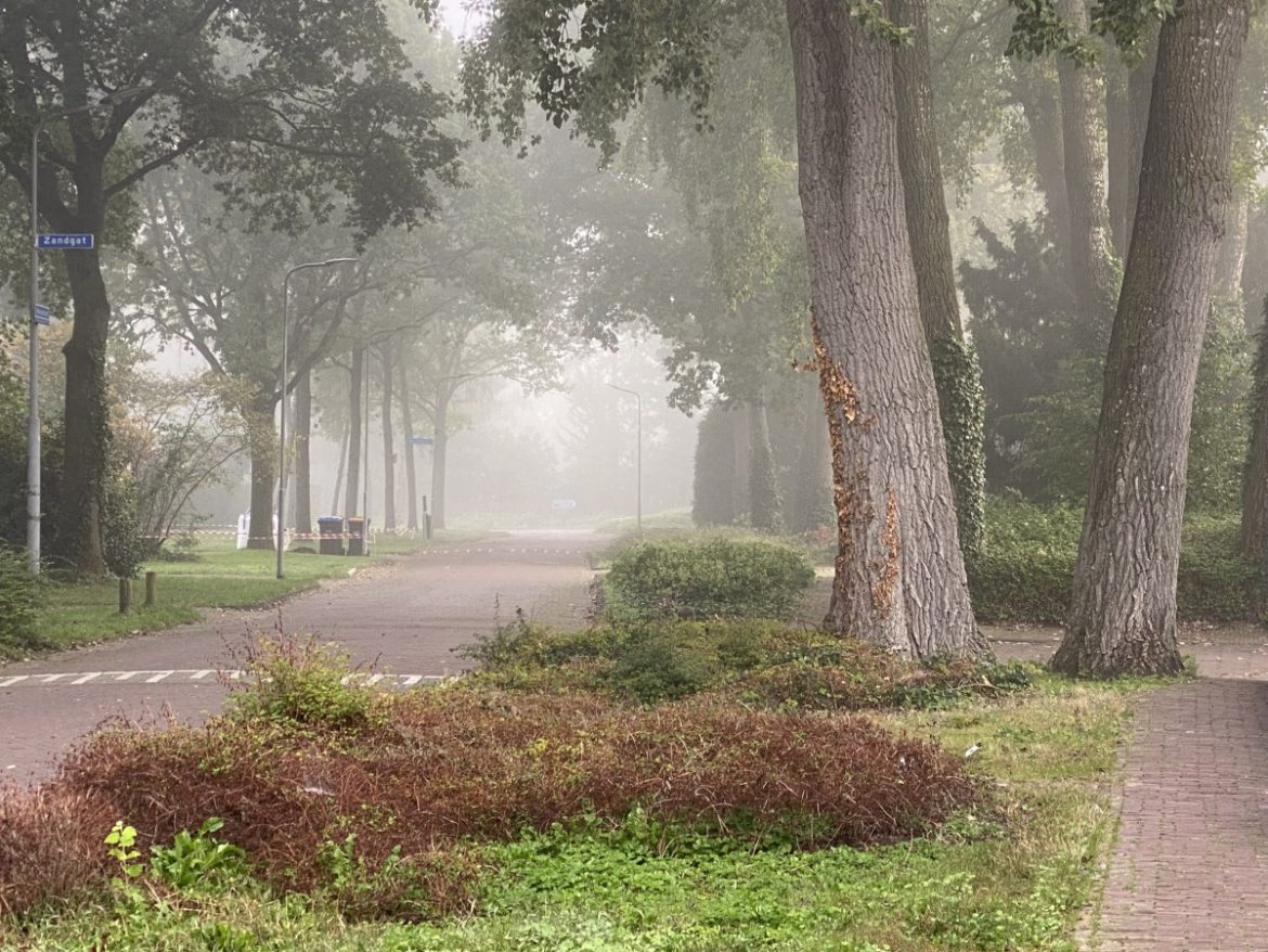 Donderdag overgang naar herfstweer