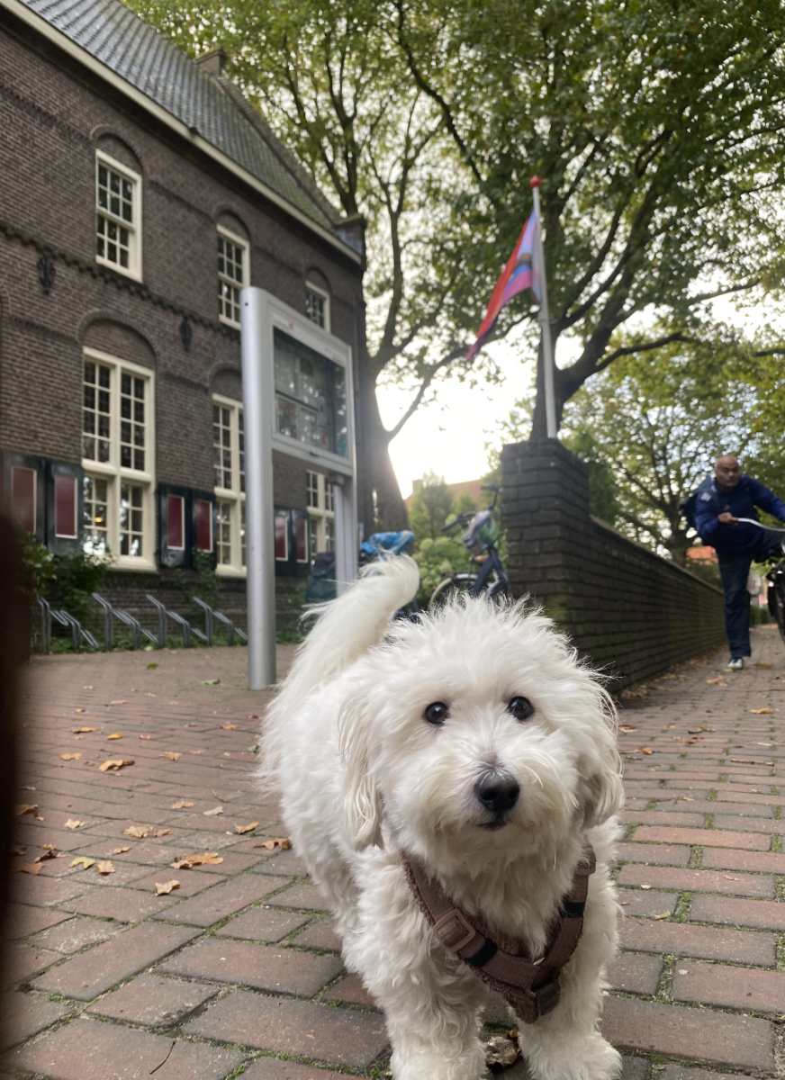 Vrijdag: 1654x bekeken + Top 10 meest gelezen berichten