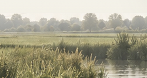 Nieuw: Goyerweyde, locatieontwikkeling voormalig tuincentrum de Burin