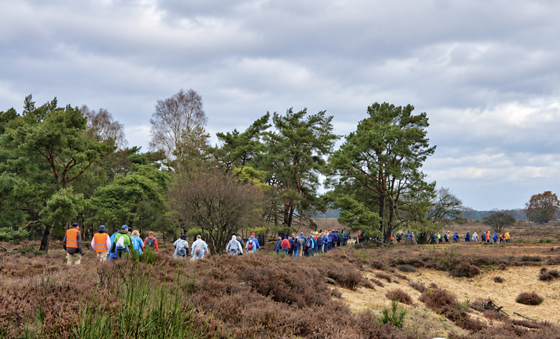 Wandelvierdaagse Het Gooi weer op pad
