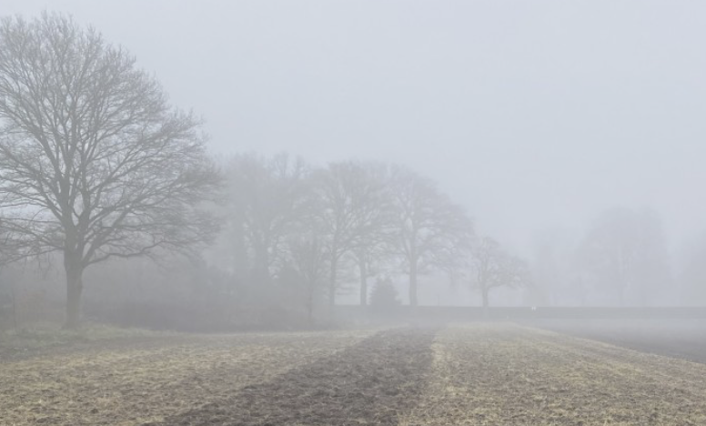 Kans op mist, weinig ruimte voor de zon in Laren in de ochtend